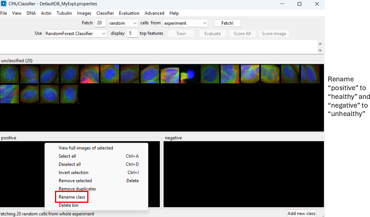 Classifier training panel showing the default positive/negative classes and the option to rename them.