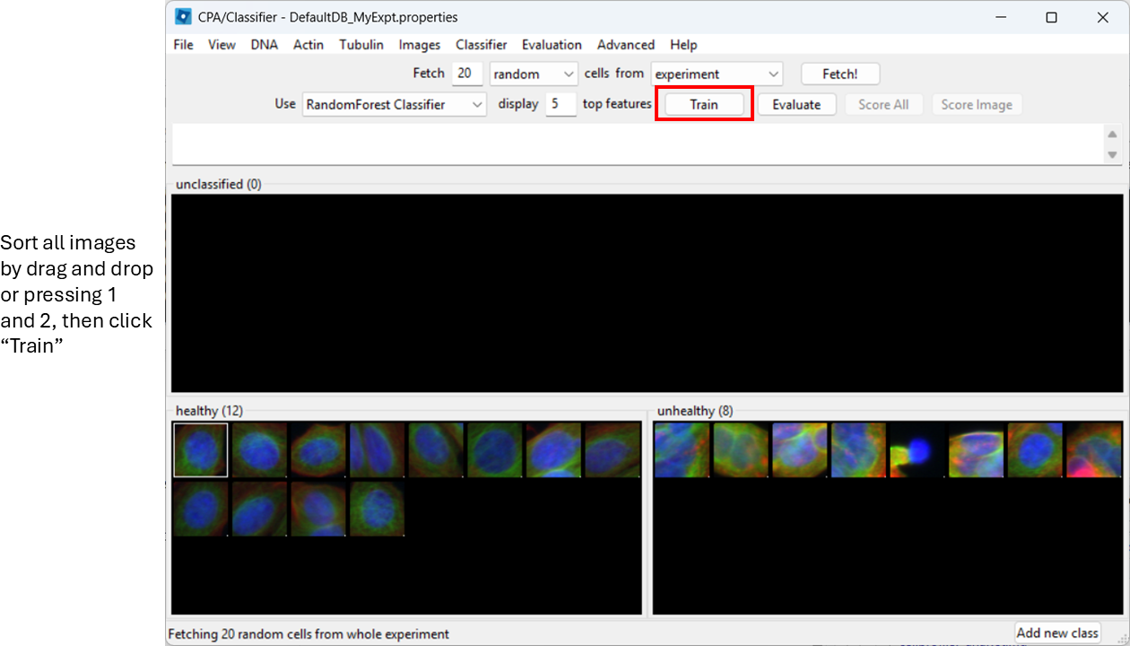 CellProfiler Analyst classifier training view showing thumbnails being assigned to the Healthy and Unhealthy classes.