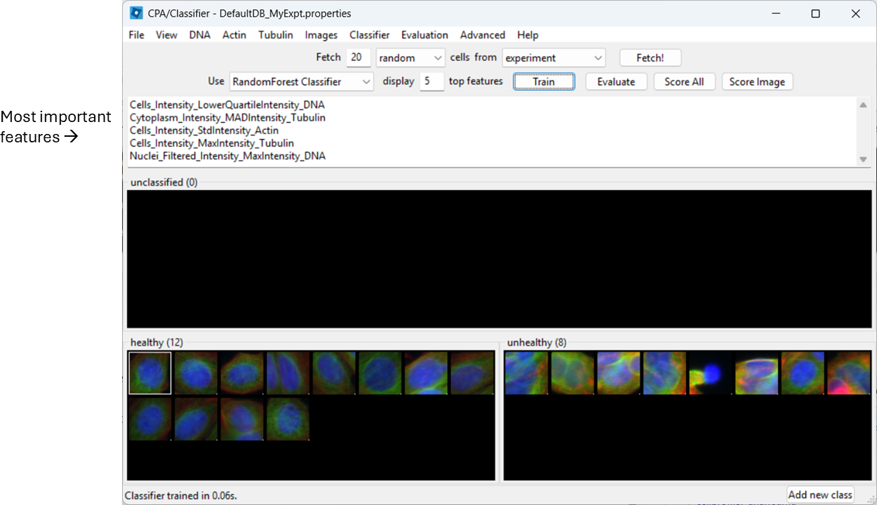 Classifier interface showing model training results and a ranked list of influential features used for classification.