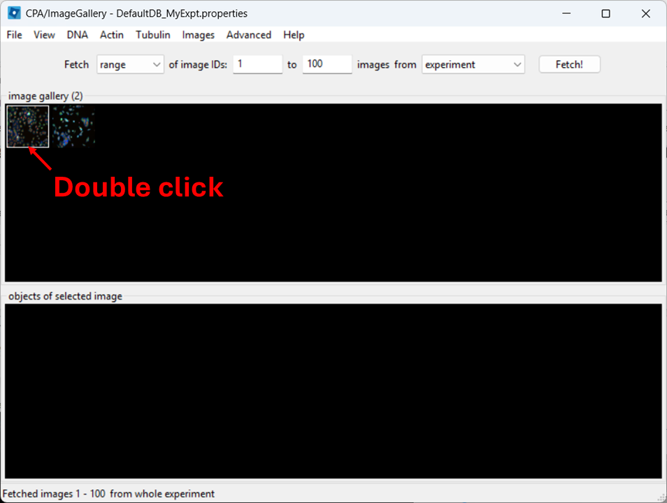 CellProfiler Analyst showing a selected thumbnail in the Image Gallery ready to be opened by double-clicking.