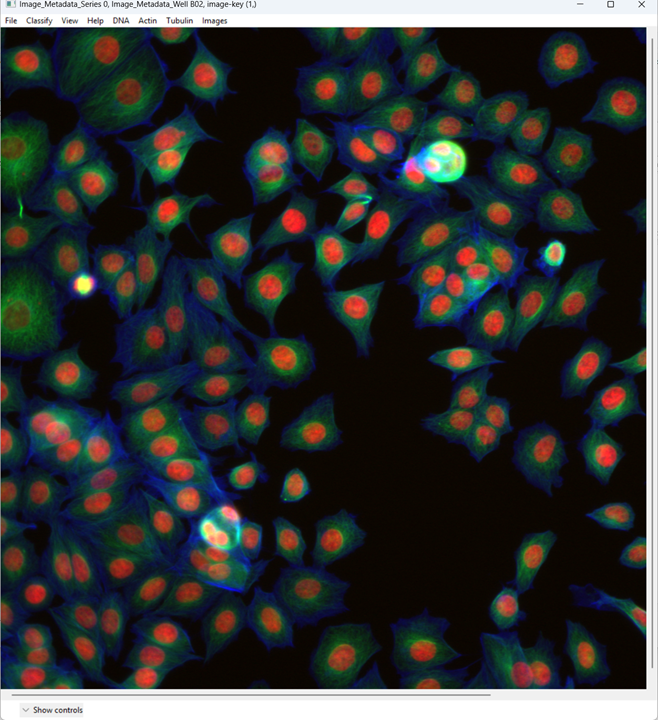 Opened multi-channel microscopy image in CellProfiler Analyst with default color assignments and visible nuclei and cell bodies.