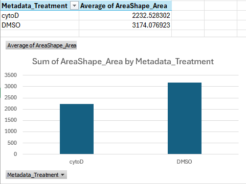Bar graph showing that cells treated with cytoD are about ~30 percent points smaller than cells treated with DMSO only, on average.