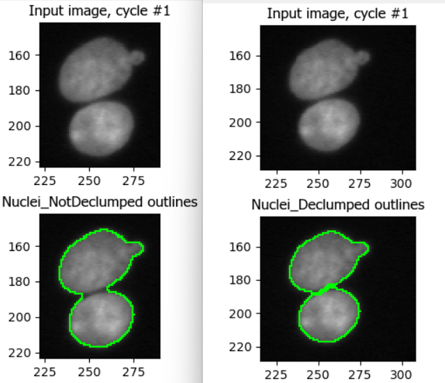 Enabling declumping can help discern nearby nuclei.