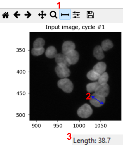 Screenshots of CellProfiler showing that nuclei diameters can be estimated using the measurement tool.