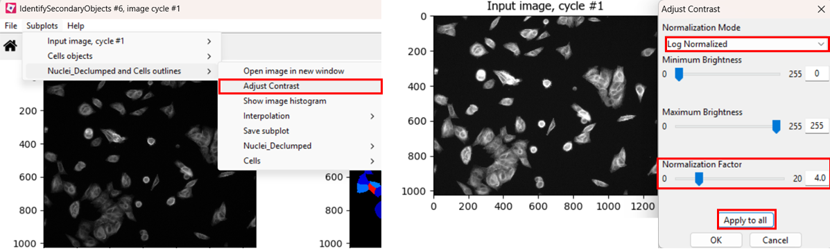 Screenshots showing that contrast be adjusted using Subplots > (Object name) outlines > Adjust Contrast and selecting Log normalized and a normalization factor in the range of 2-5, the clicking Apply to all.