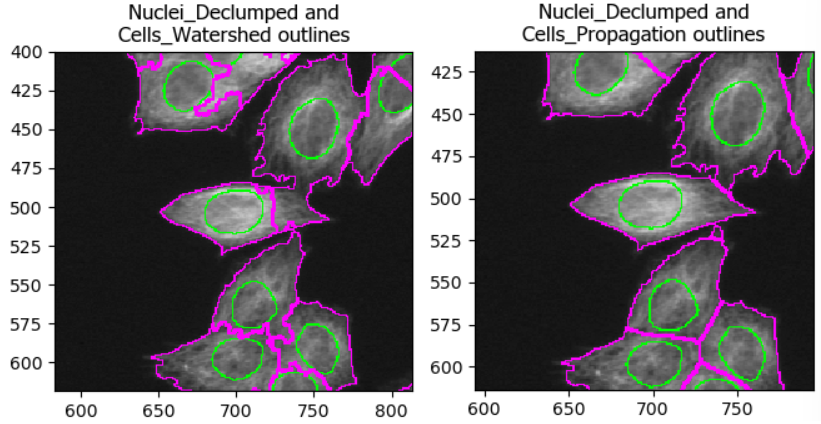 Comparing two methods of identifying cell boundaries: watershed and propagation. Using watershed, some cell boundaries spill over into adjacent cells, leading to incorrect cell masks.